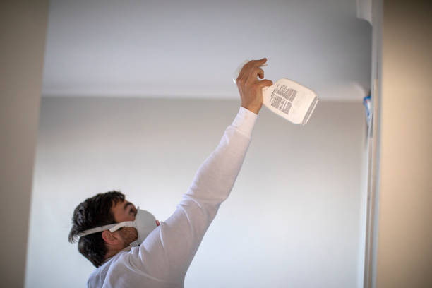 Best Residential Mold Removal  in Quartzsite, AZ