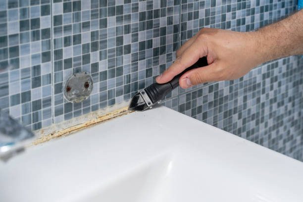 Mold Removal and Inspection in Quartzsite, AZ