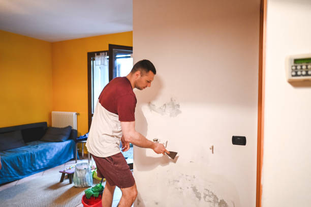 Best Commercial Mold Removal  in Quartzsite, AZ